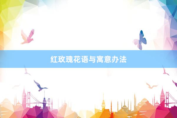 红玫瑰花语与寓意办法