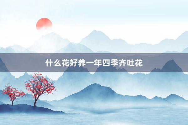 什么花好养一年四季齐吐花