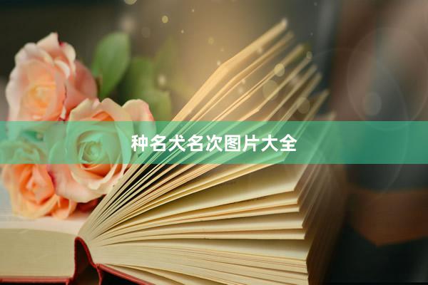 种名犬名次图片大全
