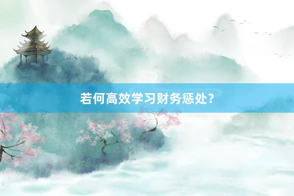 若何高效学习财务惩处？